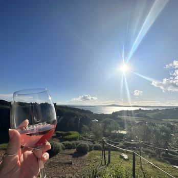 Mudbrick Vineyard and Restaurant - Rose glass - Wineries Near Me - Auckland, AUK Mudbrick Vineyard and Restaurant - Rose glass - Wineries Near Me - Auckland, AUK