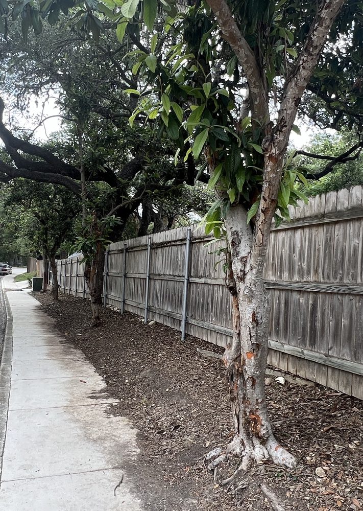 Lira Quality Tree Service - tree service in Boerne, TX