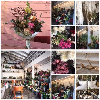 Ampersand - Florists Near Me - San Francisco, California Ampersand - Florists Near Me - San Francisco, California