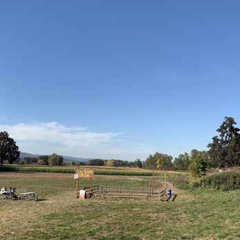 The Pumpkin Patch - The pumpkin patch in the background! - Fruits & Veggies Near Me - Portland, Oregon The Pumpkin Patch - The pumpkin patch in the background! - Fruits & Veggies Near Me - Portland, Oregon