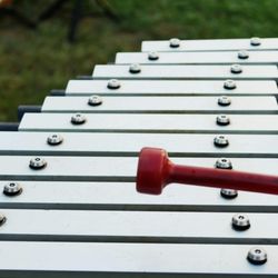 Reisinger Conservatory of Music - Percussion lessons.