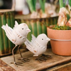 Blue Spruce Boutique