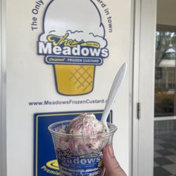 The Meadows Original Frozen Custard - Vanilla strawberry oreo custard (kids size)