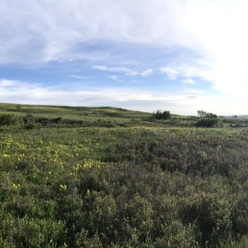 Nose Hill Park - Parks Near Me - Calgary, Alberta