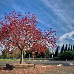 Independence Park