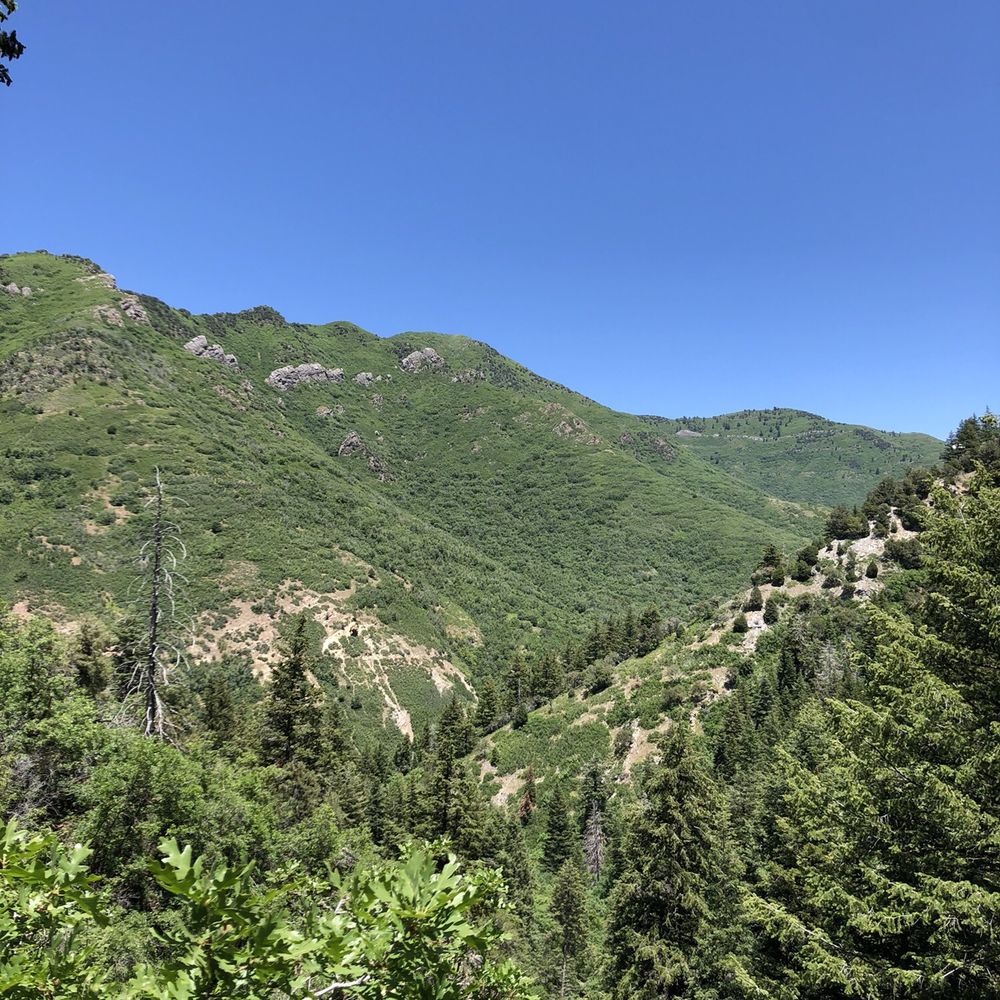 Desolation Trail - Hiking Near Me - Salt Lake City, Utah
