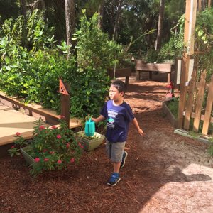 CHILDREN’S SCIENCE EXPLORIUM - 62 Photos & 23 Reviews - 300 S Military ...