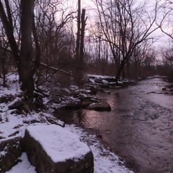Spring Creek Park
