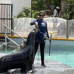 Dolphin Discovery - Sea lion show