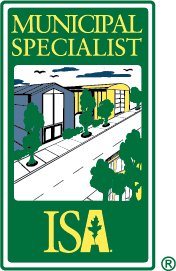 Sullivan Tree Care - tree service in Burlington, VT