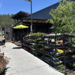 Grocery Outlet - Outdoor flower sale!