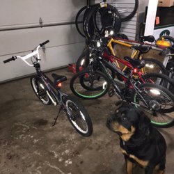 M & M Bike Repair - Mojo is head of security .