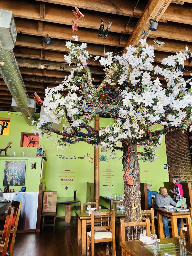 Mezcal Restaurant