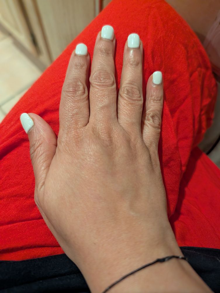Swan Nail Logo
