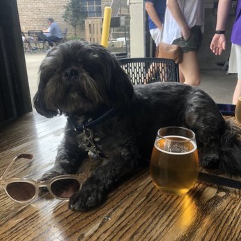 Second Line Brewing - Breweries Near Me - New Orleans, Louisiana