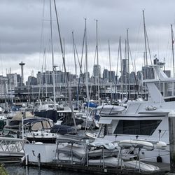 Elliott Bay Marina