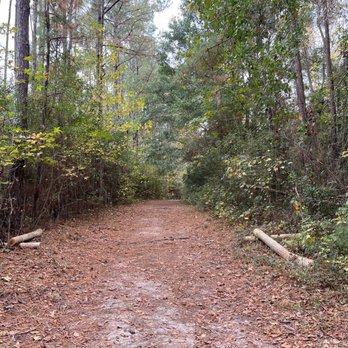 Abbey Nature Preserve - Hiking Near Me - Wilmington, North Carolina