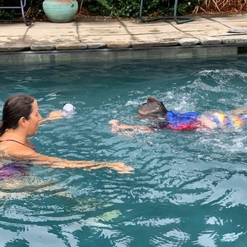Farnsworth Swim School - Swimming Lessons/Schools Near Me Farnsworth Swim School - Swimming Lessons/Schools Near Me