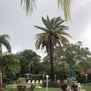 Tropical Beach Resorts - Resorts Near Me - Siesta Key, Florida Tropical Beach Resorts - Resorts Near Me - Siesta Key, Florida