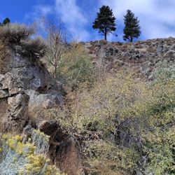Kings Canyon Waterfall Trail