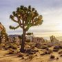 Photo of Tucson Realty & Trust Co