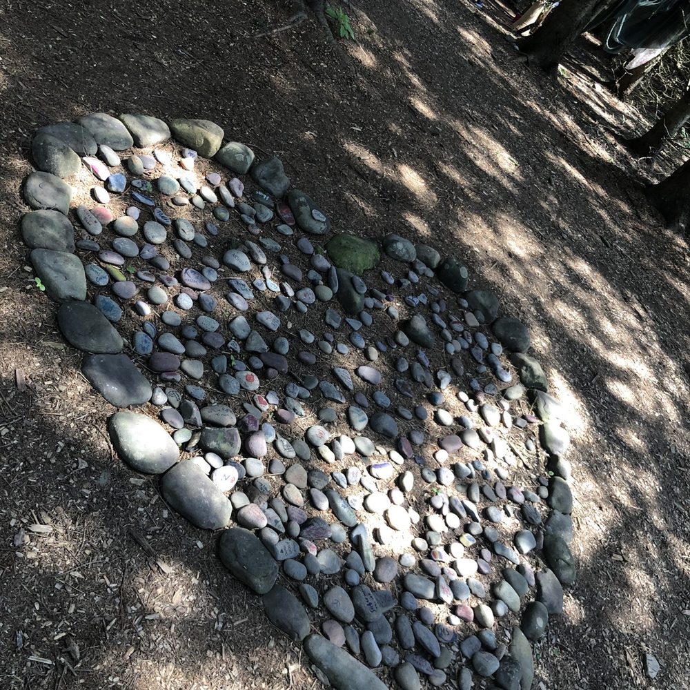 Paradise Lavender Farm - Lovely heart formation - Farms Near Me - Cresco, Pennsylvania Paradise Lavender Farm - Lovely heart formation - Farms Near Me - Cresco, Pennsylvania