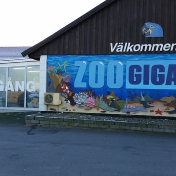 Zoo Giganten - Pet Stores Near Me - Lomma, Alberta Zoo Giganten - Pet Stores Near Me - Lomma, Alberta