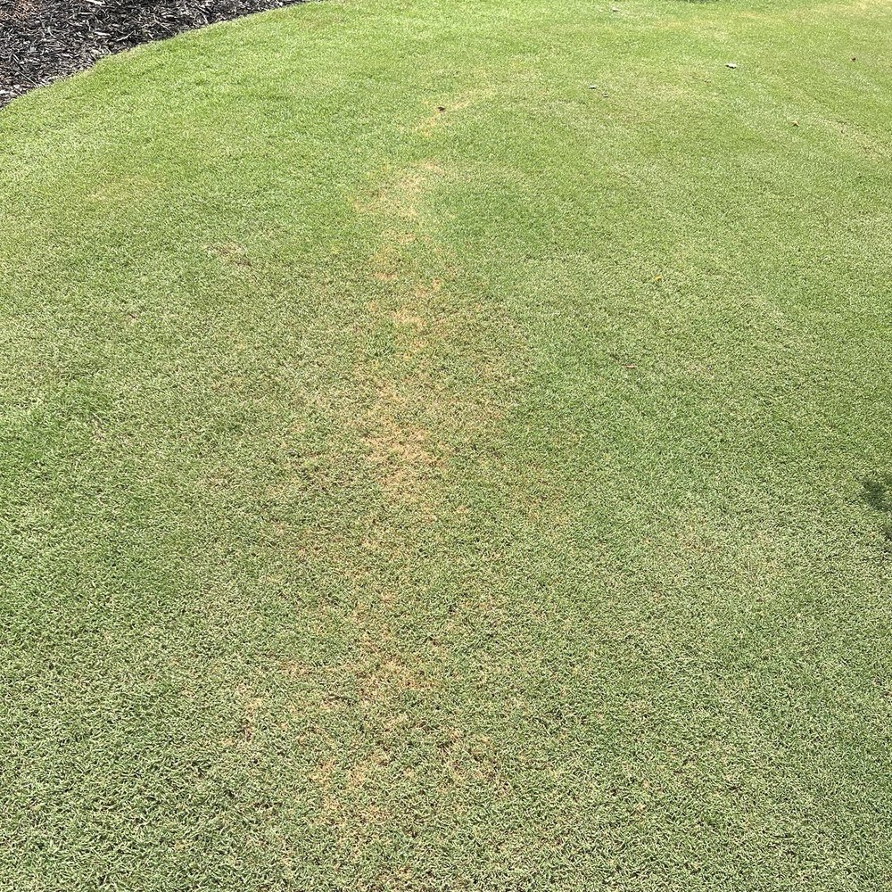 Weed Man - Fertilizer burn marks - Pest Control Near Me - Kennesaw, Georgia Weed Man - Fertilizer burn marks - Pest Control Near Me - Kennesaw, Georgia