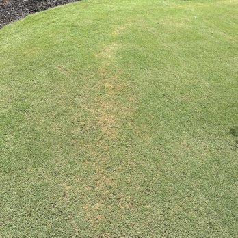 Weed Man - Fertilizer burn marks - Pest Control Near Me - Kennesaw, Georgia Weed Man - Fertilizer burn marks - Pest Control Near Me - Kennesaw, Georgia