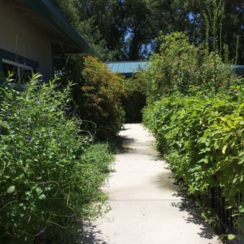 Mount Dora Library - Nunan Butterfly Garden - Libraries Near Me - Mount Dora, Florida