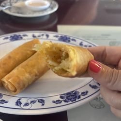 Thai Garden - Spring roll