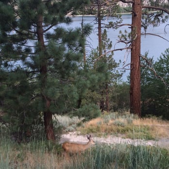 Boulder Lodge - Beautiful morning with a local - Hotels Near Me - June Lake, California