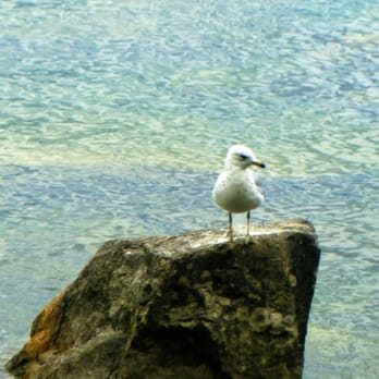 Bluffer’s Park - Parks Near Me - Toronto, Ontario