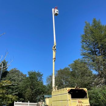 Marin Landscaping and Tree Service - Landscaping Near Me - Freehold, New Jersey Marin Landscaping and Tree Service - Landscaping Near Me - Freehold, New Jersey