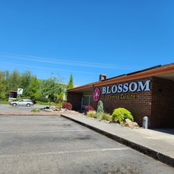 Blossom Chinese Cuisine