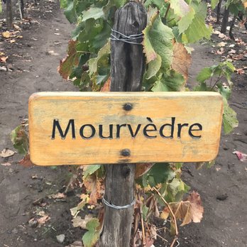 Concha y Toro - Wineries Near Me - Pirque, RM Concha y Toro - Wineries Near Me - Pirque, RM
