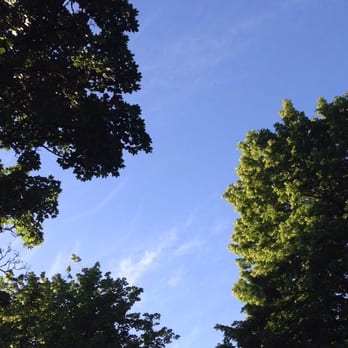 Volunteer Park - Parks Near Me - Seattle, Washington