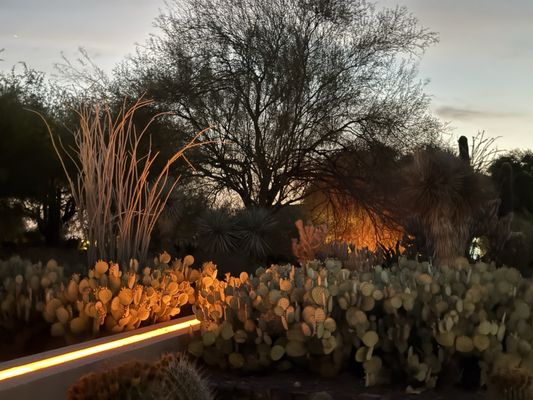 Papago Park by null