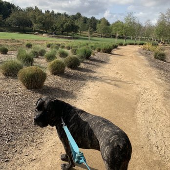 Jeffrey Open Space Trail - Parks Near Me - Irvine, California Jeffrey Open Space Trail - Parks Near Me - Irvine, California