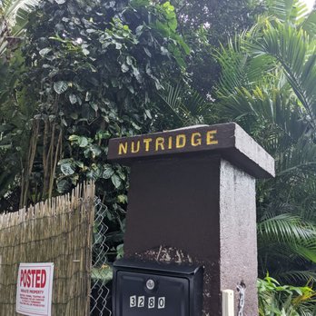 Experience Nutridge - Performing Arts Near Me - Honolulu, Hawaii Experience Nutridge - Performing Arts Near Me - Honolulu, Hawaii