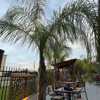 Flying Fish Taphouse - The outdoor area - Seafood Near Me - Jacksonville, Florida Flying Fish Taphouse - The outdoor area - Seafood Near Me - Jacksonville, Florida