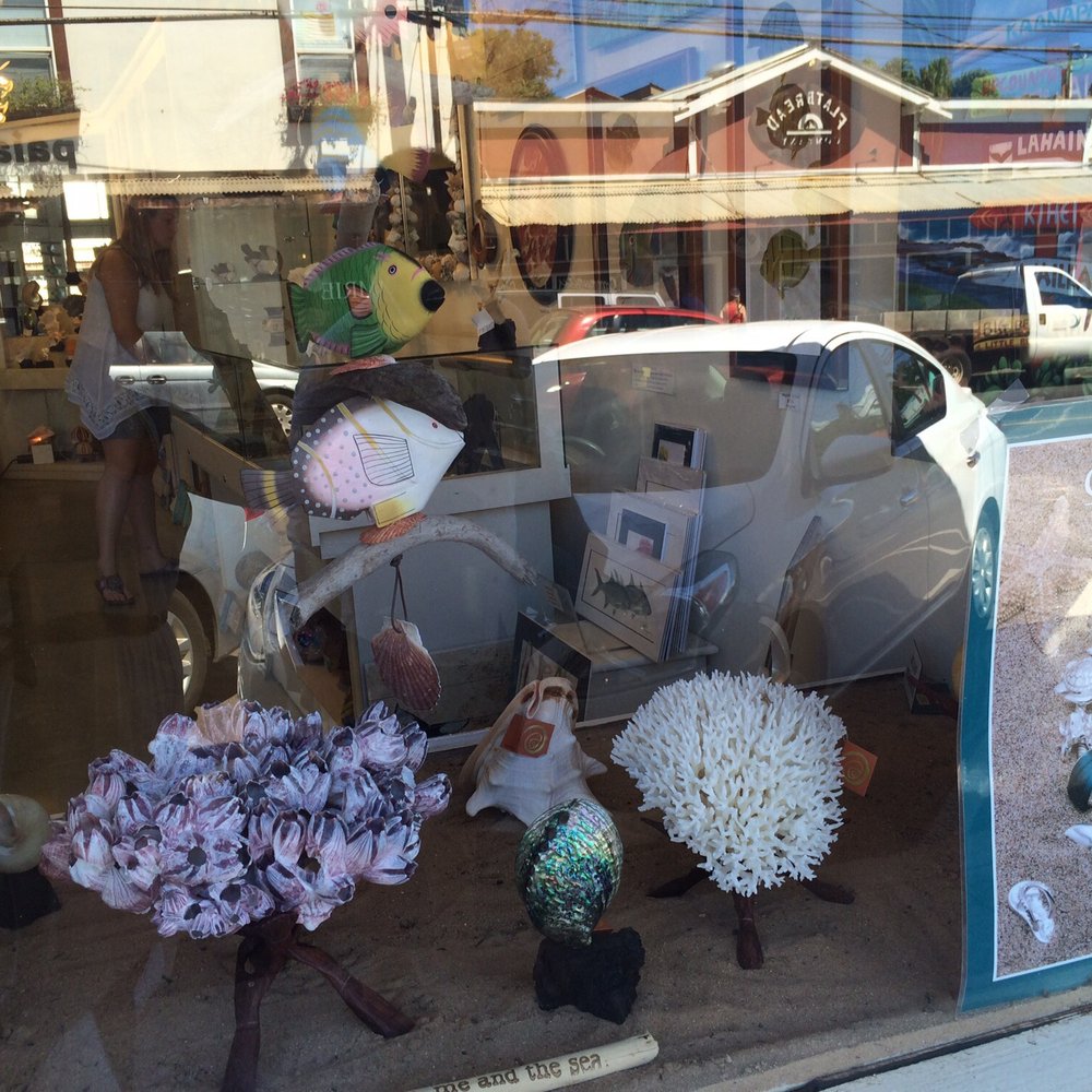 Store front with sea shells