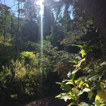 Millcreek Canyon - Lush and colors changing to yellow and reds in September - Hiking Near Me - Millcreek, Utah