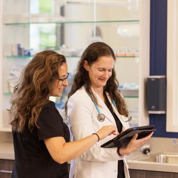 Maple Grove Pet Hospital - Veterinarians Near Me - Maple Grove, Minnesota Maple Grove Pet Hospital - Veterinarians Near Me - Maple Grove, Minnesota