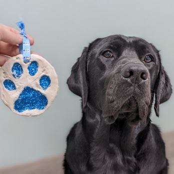 Pack Pawsitive - Cody the black lab and his oh so cute paw print ornament! - Pet Training Near Me - Glendora, California