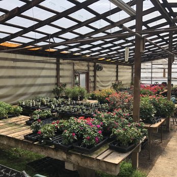 Satsop Landscaping & Nursery - Indoor nursery area - Nurseries & Gardening Near Me - Elma, Washington Satsop Landscaping & Nursery - Indoor nursery area - Nurseries & Gardening Near Me - Elma, Washington