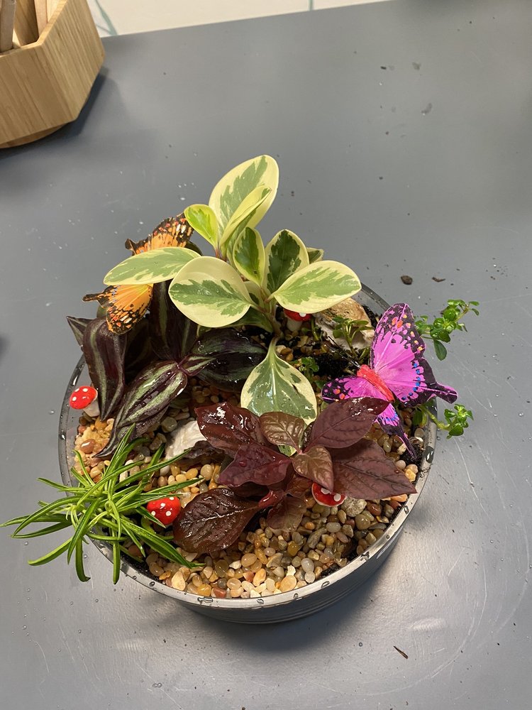 ROOTS PLANT STUDIO Updated September 2024 15 Photos 4780 NW 39th