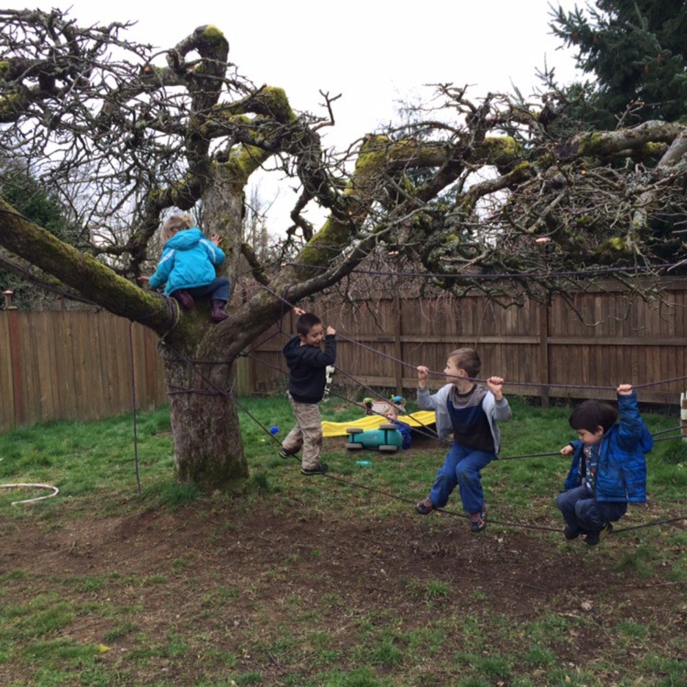 Veranda Montessori School - Kids are encouraged to climb & explore. - Montessori Schools Near Me - Seattle, Washington Veranda Montessori School - Kids are encouraged to climb & explore. - Montessori Schools Near Me - Seattle, Washington