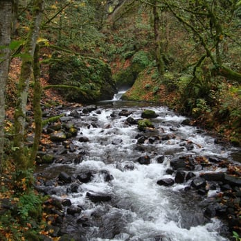 Bridal Veil Falls - most scenic part, downstream from the falls. - Hiking Near Me - Corbett, Oregon Bridal Veil Falls - most scenic part, downstream from the falls. - Hiking Near Me - Corbett, Oregon