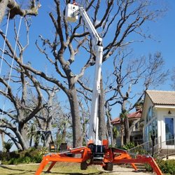 Arbor Tree Care